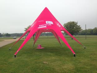 Pink Ladies MiniStar 9m